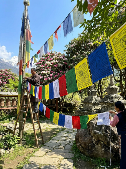 Tibetan buddhist high quality mix deities cotton prayer flags/ lungta