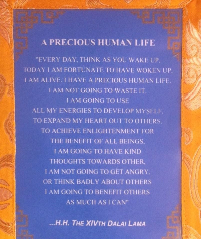 Dalai Lama Message Thangka / Wall Hanging / A Precious Human Life