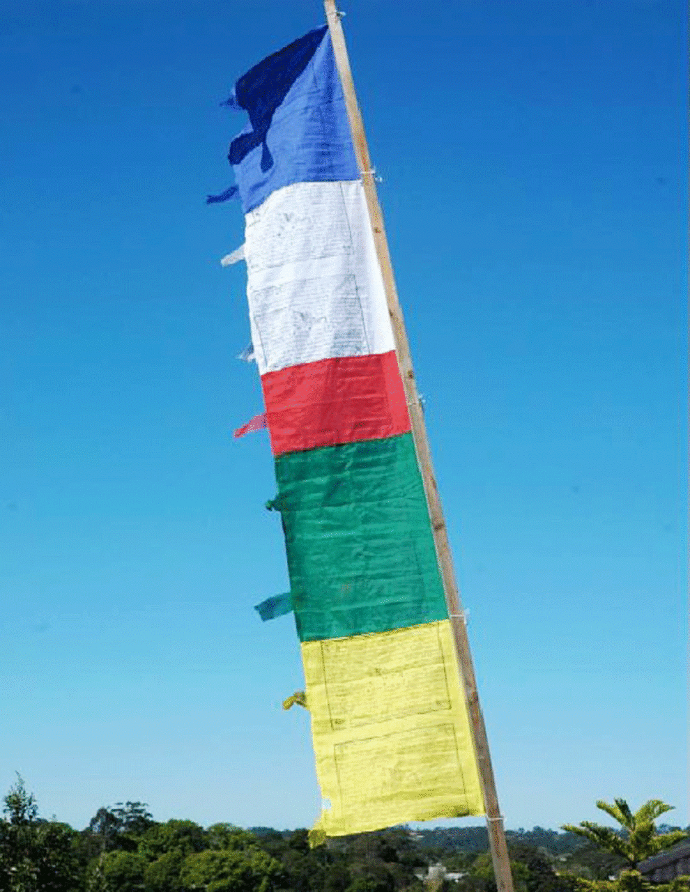 Tibetan Buddhist Vertical Large Cotton Prayer Flag